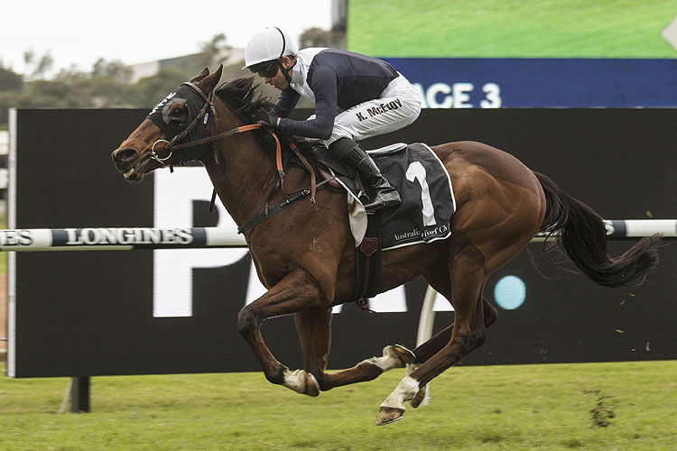 SWEET THOMAS winning the Coolmore Stayer's Cup