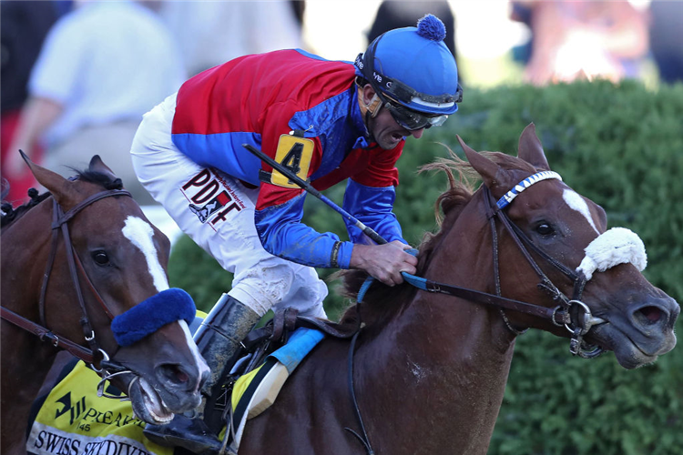 SWISS SKYDIVER winning the Preakness Stakes at Pimlico in Baltimore, Maryland.