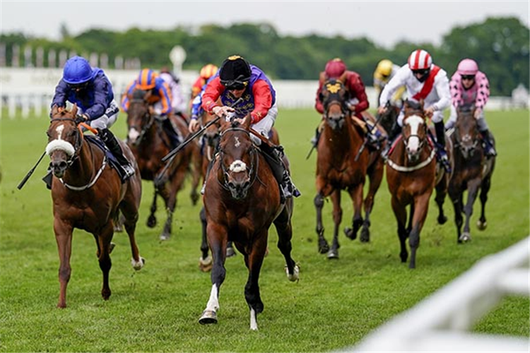 TACTICAL winning the Windsor Castle Stakes at Ascot in England.