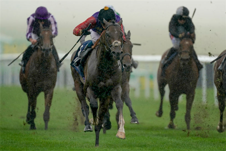 TACTICAL winning the July Stakes in Newmarket, England.