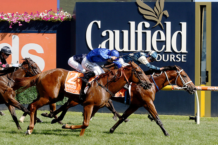 TAGALOA winning the Blue Diamond Stakes in 2020.