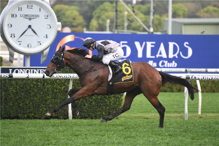 TAIKOMOCHI winning the Kingston Town Stakes.