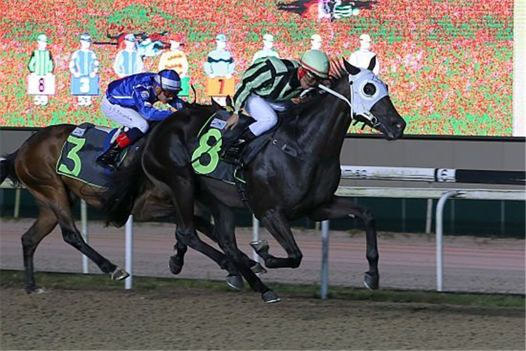 TAKHI winning the RESTRICTED MAIDEN