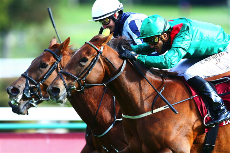 TARNAWA winning the PRIX DE L'OPERA LONGINES