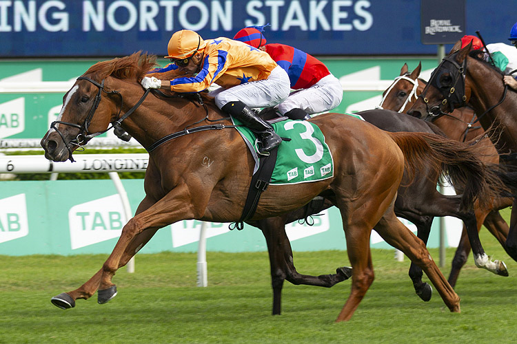 TE AKAU SHARK winning the Tab Chipping Norton Stakes