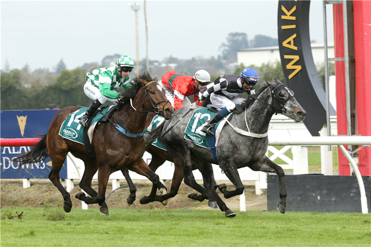 TELLYAWHAT winning the Dunstan Equine Feeds Hcp (88)