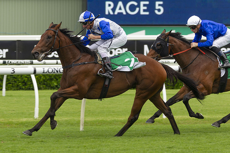 THE BOSTONIAN winning the Heineken 3 Canterbury Stakes