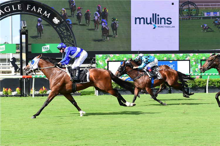 Racing at Eagle Farm.