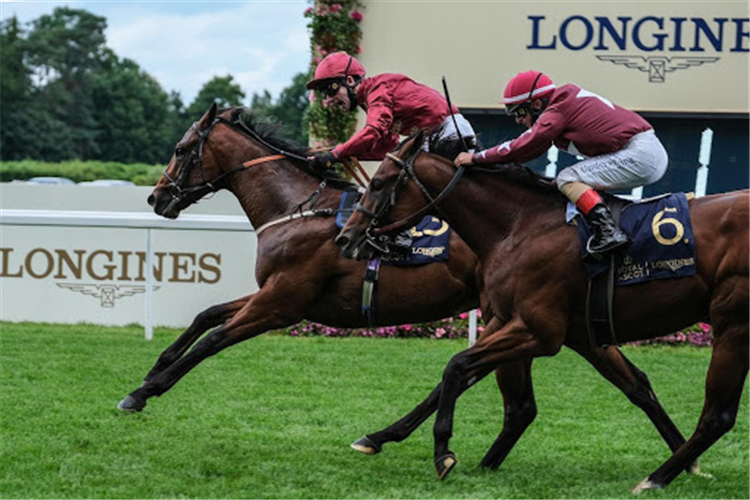 THE LIR JET winning the Norfolk Stakes at Ascot in England.