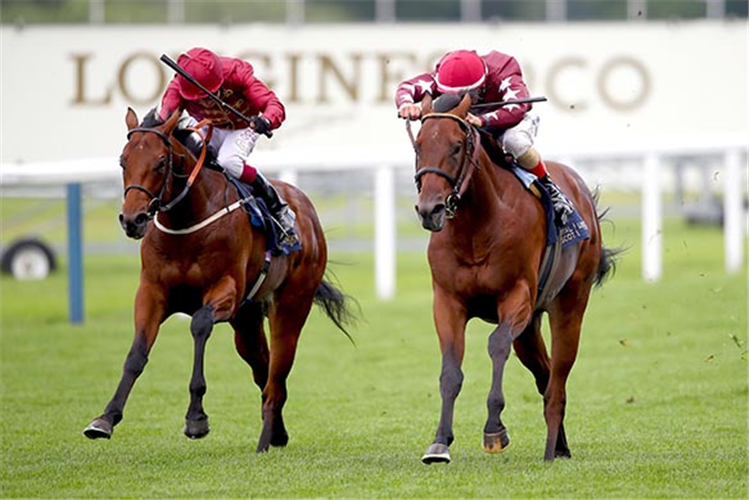 THE LIR JET (L) winning the Norfolk Stakes at Ascot in England.