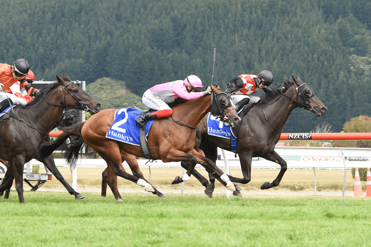 The Mitigator (inside) winning the Gr.1 Thorndon Mile (1600m).<br />