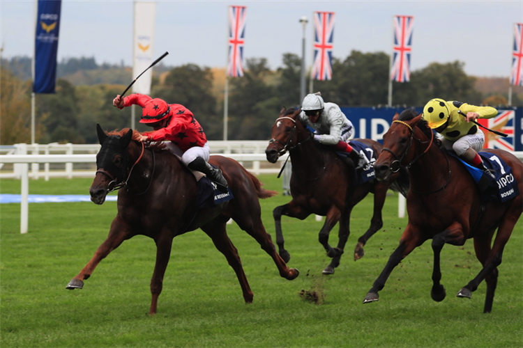 THE REVENANT winning the Queen Elizabeth II Stakes (Group 1) (Sponsored By Qipco) (Str)