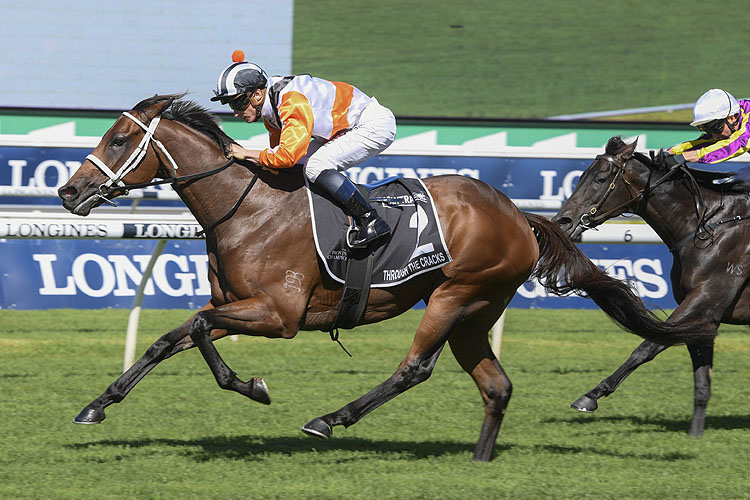 THROUGH THE CRACKS winning the Polytrack Prov. C'ships Final