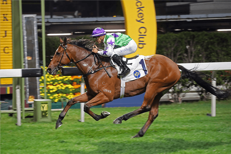 THUNDER STOMP winning the Wong Nai Chung Hcp (C4)