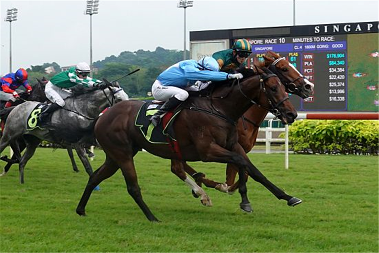 TIGER ROAR winning the CLASS 4