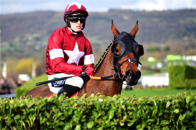 TIGER ROLL winning the Glenfarclas Chase (Cross Country Chase)