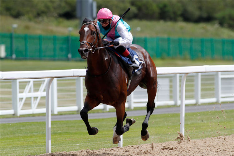 TILSIT winning the Win Bigger On Betfair Exchange Novice Median Auction Stakes in Newcastle, England.