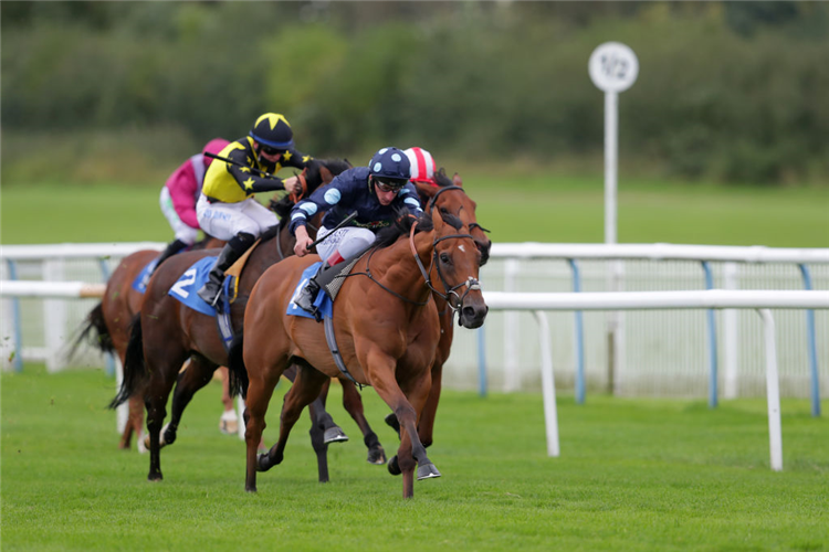 TIS MARVELLOUS winning the EBF Stallions Prestwold Conditions Stakes at Leicester in England.