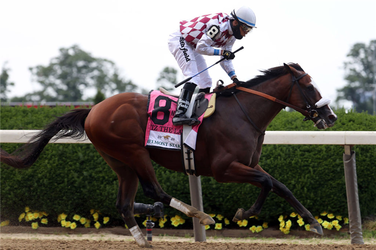 TIZ THE LAW winning the Belmont Stakes at Belmont Park in Elmont, New York.