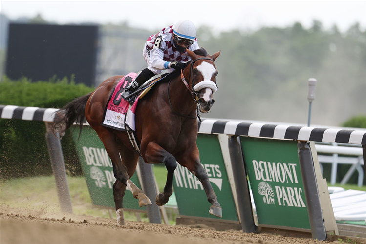 TIZ THE LAW winning the Belmont Stakes at Belmont Park in New York.