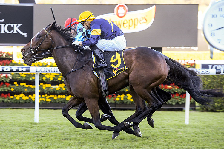 TOFANE winning the Schweppes All Aged Stakes