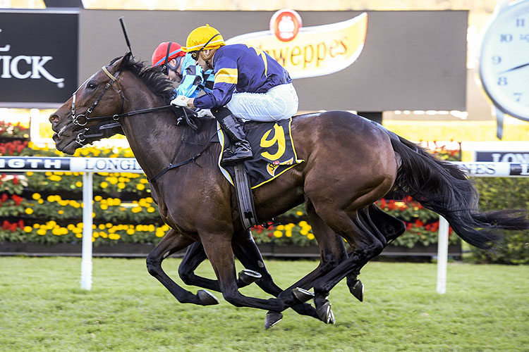 TOFANE winning the Schweppes All Aged Stakes.