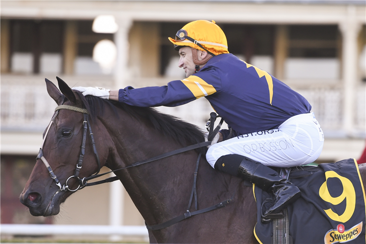 Opie Bosson gives Tofane a celebratory pat after winning the Gr.1 All Aged Stakes (1400m) in April.