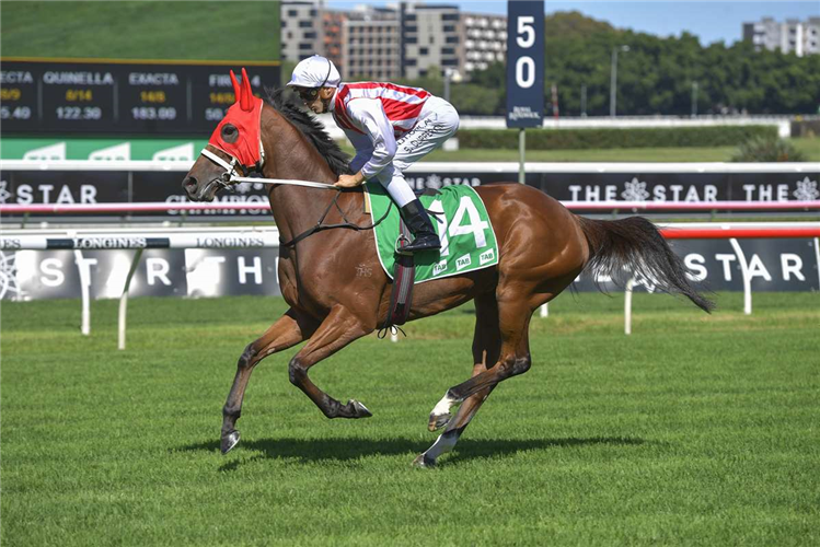 TOFFEE TONGUE running in the The Star Australian Oaks