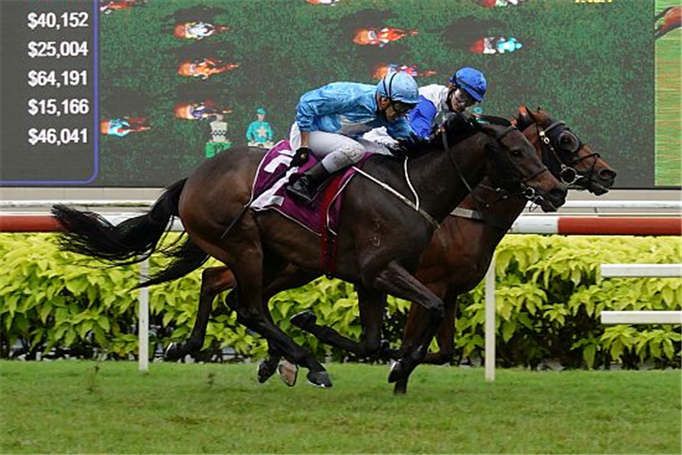 TOP KNIGHT winning the SINGAPORE DERBY GROUP 1