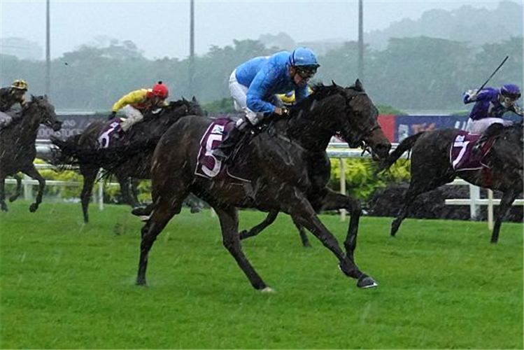 TOP KNIGHT winning the QUEEN ELIZABETH II CUP GROUP 1