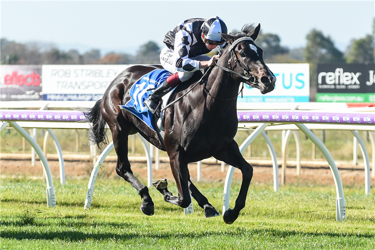 TOYZ ON FIRE winning the BetEasy 2YO Fillies Maiden Plate in Wangaratta, Australia.