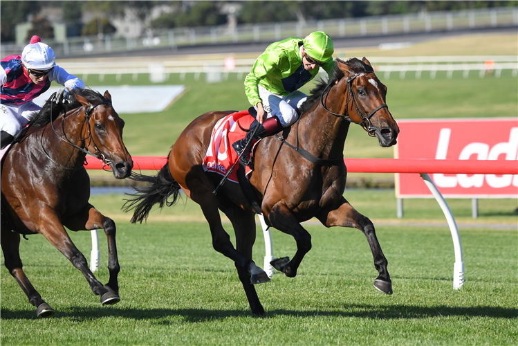 TRALEE ROSE winning the Ladbrokes Back Yourself Handicap at Ladbrokes Park Hillside in Springvale, Australia.