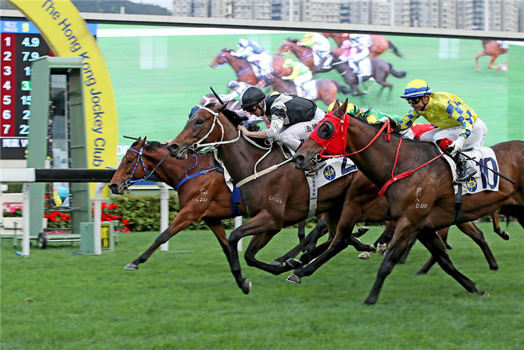 Transcendent (black cap) scores on debut under Zac Purton.