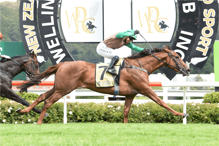 TRAVELLING LIGHT winning the Woodridge Homes Levin Classic