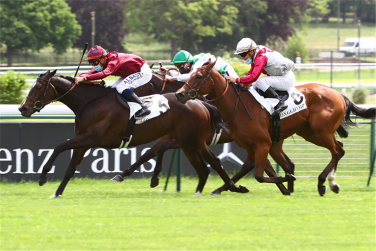 TROPBEAU winning the PRIX DE LA GROTTE