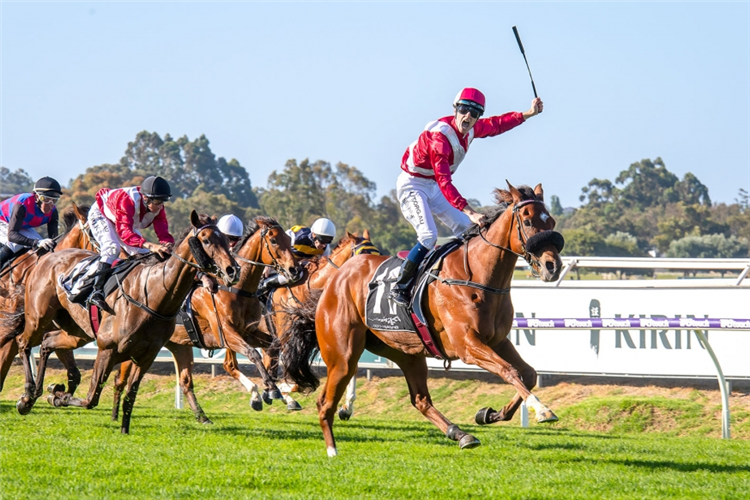 TRULY GREAT winning the Kingston Town Classic