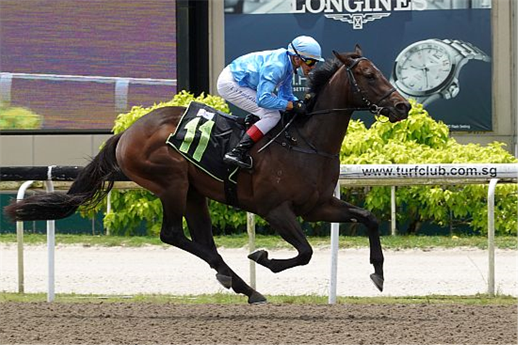 TUESDAY winning the INFANTRY 2017 STAKES RESTRICTED MAIDEN