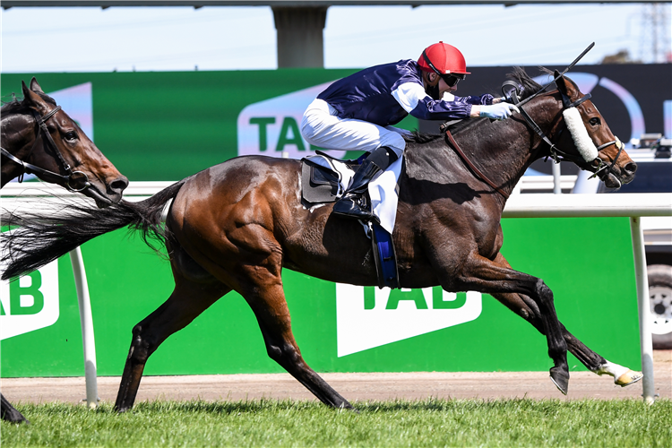 TWILIGHT PAYMENT winning the Lexus Melbourne Cup.