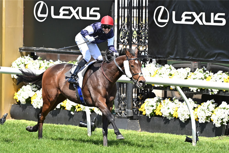 TWILIGHT PAYMENT winning the Melbourne Cup at Flemington in Australia.