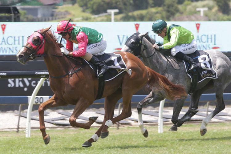 Two Illicit winning the Valachi Downs Royal Stakes