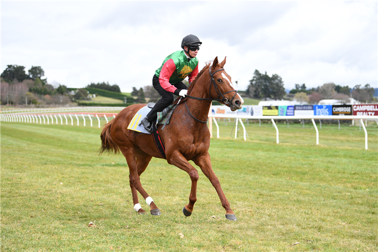 Two Illicit at the Taupo trials