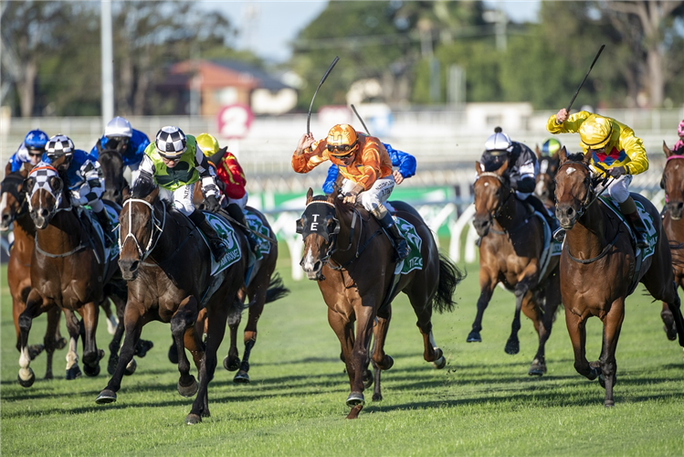 TYZONE winning the Tab Stradbroke Hcp (G1).