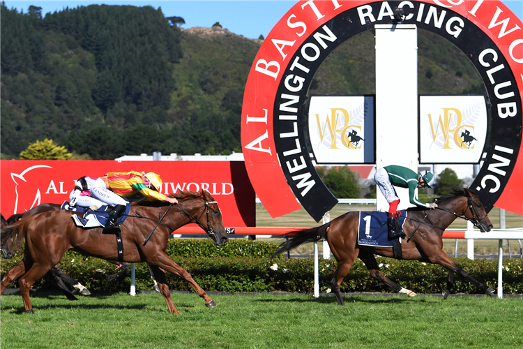 finishes second to Jennifer Eccles in the Gr.1 New Zealand Oaks (2400m)
