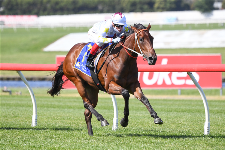 VANDOULA LASS winning the Clanbrooke Racing Handicap at Ladbrokes Park Hillside in Springvale, Australia.