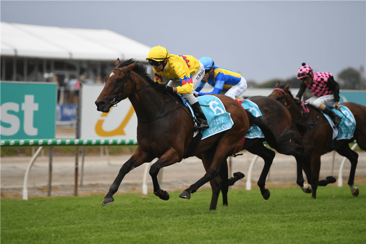 VEGA ONE winning the $1m Pacific Fair Magic Millions Cup.