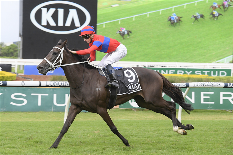 VERRY ELLEEGANT winning the Tancred Stakes.