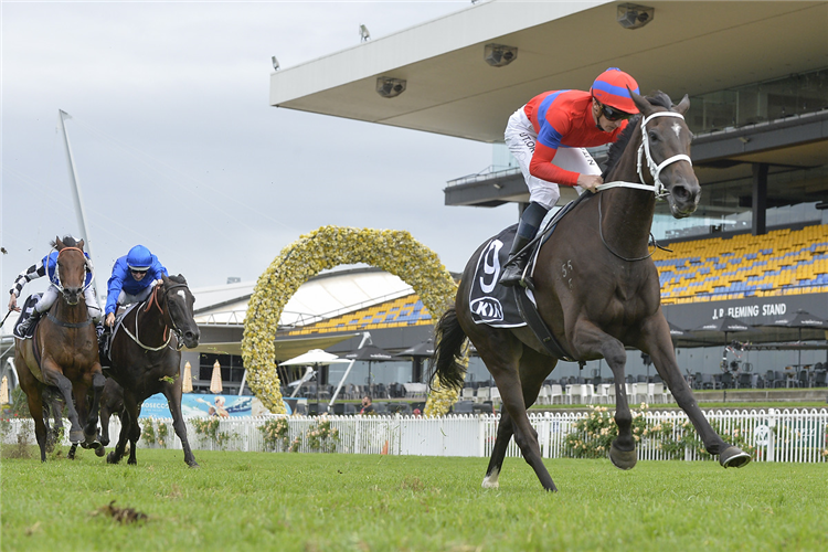 VERRY ELLEEGANT winning the Tancred Stakes.