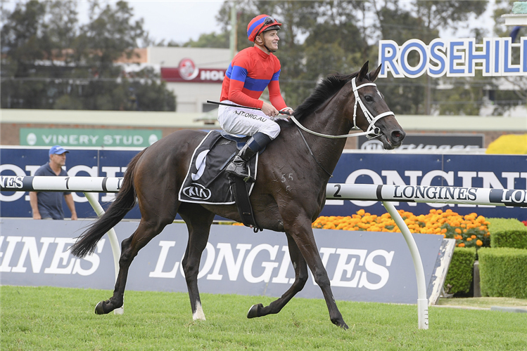 VERRY ELLEEGANT winning the Tancred Stakes.