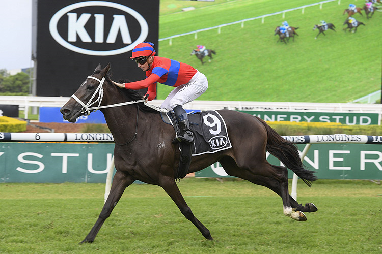 VERRY ELLEEGANT winning the Kia Tancred Stakes