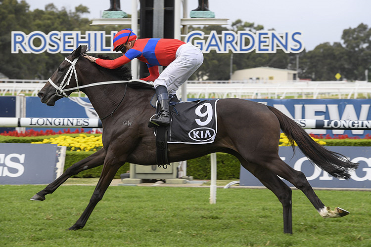 VERRY ELLEEGANT winning the Kia Tancred Stakes